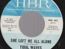 Tidal Waves Farmer John Garage Psych 45 HBR HEAR