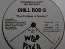 CHILL ROB G COURT IS NOW IN SESSION 12