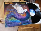 BULLFROG HIGH IN SPIRITS 1977 NM TOP KRAUTROCK RARE