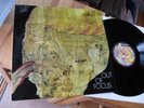 OUT OF FOCUS SAME LP IN 1971 DREAM CONDITION MINT
