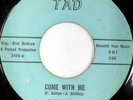 EXOTICS rare TX garage punk rock 45 hymn to her TAD