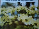 Private Old Time Gospel LP PHIPPS FAMILY Rare HEAR