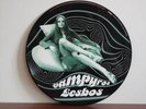 VAMPYROS LESBOS  Picture LP  OST  Jess Franco  Pin Up X