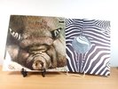 Krautrock LP, Kin Ping Meh, No. 2, 1972 Zebra 2949 005