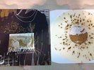 Portugal The Man - Waiter You Vultures Vinyl RARE /500