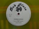 DENNIS HAMILTON Rainbow country ROOTS RADDICS DUB PLATE