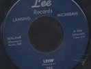 The Maruders Nightmare Rare Michigan Psych 45 Lee HEAR