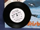 NOFX coaster/frisbee 7