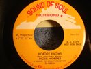 NORTHERN SOUL 45 DICKIE WONDER NOBODY KNOWS EXCELLENT