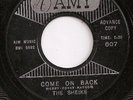 THE SHEIKS / COME ON BACK / LISTEN