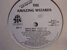 THE AMAZING WIZARDS That's Ugly MIAMI BASS 12