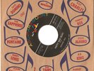 Rockabilly Ronnie Self Pretty Bad Blues ABC 45 EarlyRE