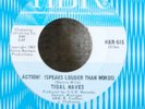 KILLER Michigan Garage 45-Tidal Waves-Action Speaks....
