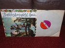 BUFFALO SPRINGFIELD Again LP 1968 MONO 1st SUPERB