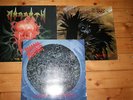 MORBID ANGEL, PROTECTOR, MORGOTH LP