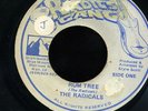 Radicals - Rum Tree JA orig Roots Radics Gang 45 ??