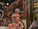 IRON MAIDEN Somewhere in time INDIA issue LP