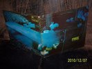 Free LP Tons Of Sobs  ORIGINAL PINK ISLAND