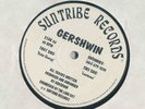 GERSHWIN SOLAR ENERGY/LUMINOUS/SUNTRIBE RECORDS RARE