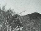 KOREAN AVANT GARDE PSYCH LSD FUNK DRAMA BREAKS Hear mp3