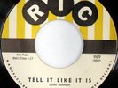 rare Soul 45 EDDIE BO every dog got his day Listen