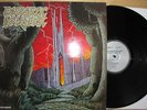 LP Energetic Krusher - Path to Oblivion, Metal, Top