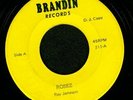 THE WETBACKS - JOSE JIMENEZ Ska Popcorn 2 SIDER 45 HEAR