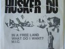 Husker Du - In A Free Land 7