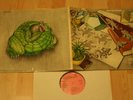 MOTT THE HOOPLE- same  Pink Island D 69 FOC in NMint 