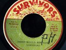 Survivors - Third World Rebellion JA orig 45 ??