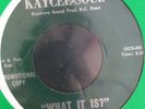 The Curtis Liggins Indications WHAT IT IS private press