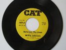 WILLIE JOHNSON 45 RPM CAT 1979,BETWEEN THE LINES