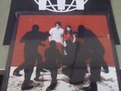 THE WHITE STRIPES white BLOOD CELLS SPLIT COLOR VINYL.