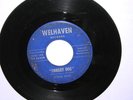 Sting Rays-Shaggy Dog/The Cat-Welhaven-Minnesota 60s