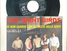 NIGHT BIRDS-IO NON-RARE ITALIAN PS 45rpm 1966-FREAKBEAT