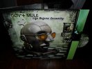 2xLP GOV'T MULE LIFE BEFORE INSANITY allman brothers