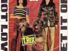 T.REX Hot Love/Get It On mega-rare IRANIAN prs. ps 45