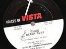 The Beach Boys 1965 Radio Show 24 mins Voices of Vista
