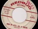 Teen 45 - Ron And The Motions On Redbug 0006