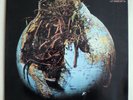 DROSSELBART - ORIGINAL 1ST PRESSING 1970 - NEAR MINT