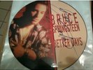 Bruce Springsteen Autographed Picture Disc Better Days