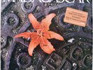 MADAGASCAR Spirit Of The Street MODERN SOUL BOOGIE mp3