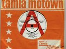 TAMMI TERREL - MOTOWN NORTHERN SOUL - TMG 561  UK DEMO