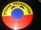 JUNIOR BRAMMER - F.B.I. /STEPPA  7
