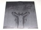LP Deerhunter 1st Album Turn It Up... Super Rare Mint