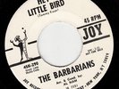 the barbarians hey little bird garage 7