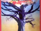Studiker – Oak Tree / Randy Pie / rare Soul Kraut Orig