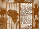 Various Artists - Africa Iron Gate Showcase UK LP  ??