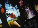 Pink Floyd    - Final Cut - IM KLAPPCOVER   TOP ZUSTAND
