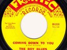Boy Blues '67 CA MASSIVE FUZZ PUNKADELIC G45 #188  HEAR